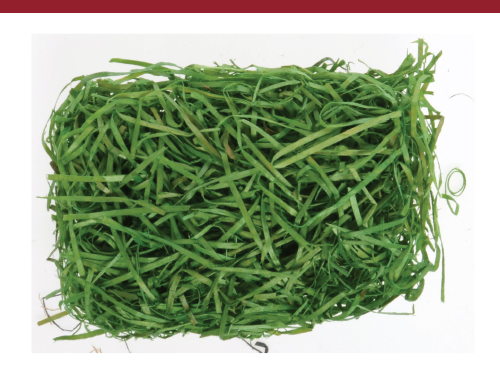 Excelsior Basket Filler Grass